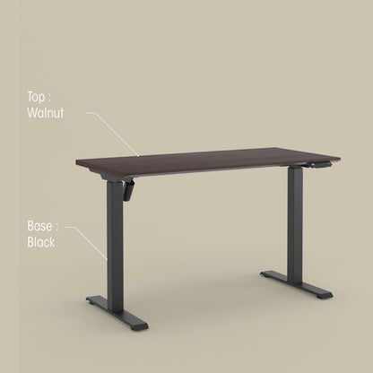 LIFT Height Adjustable Table ( Walnut Top + Black Base) - M DEGREE STORE