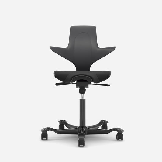 Hag Capisco Puls 8020 
