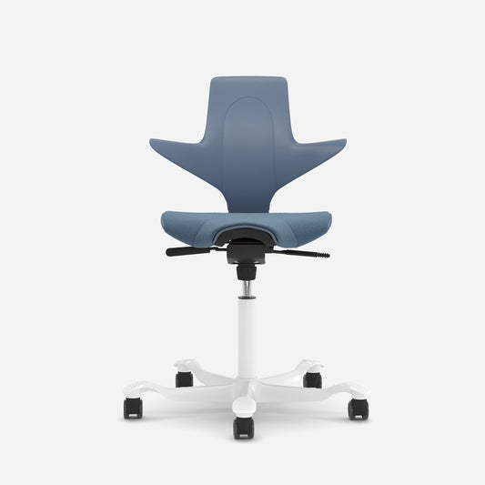 Hag Capisco Puls 8020 