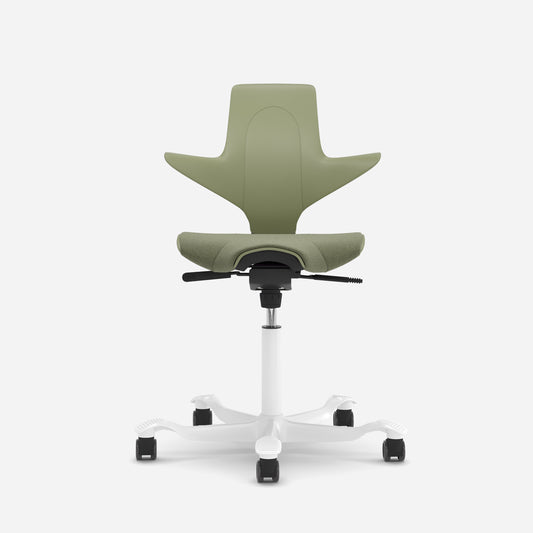 Hag Capisco Puls 8020 