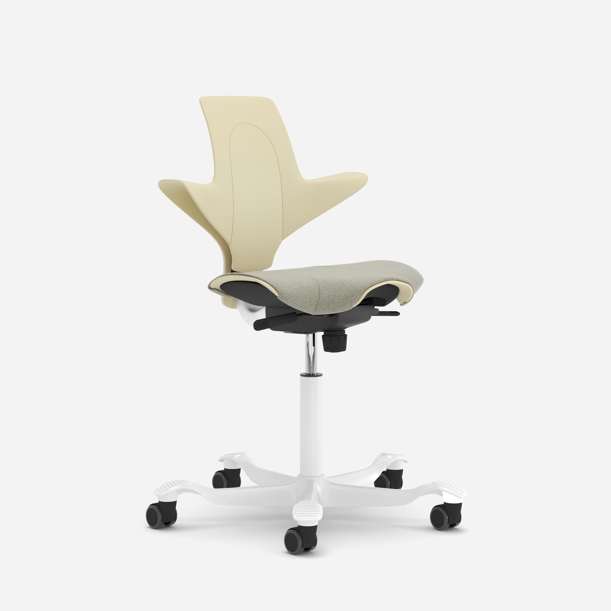 Hag Capisco Puls 8020 